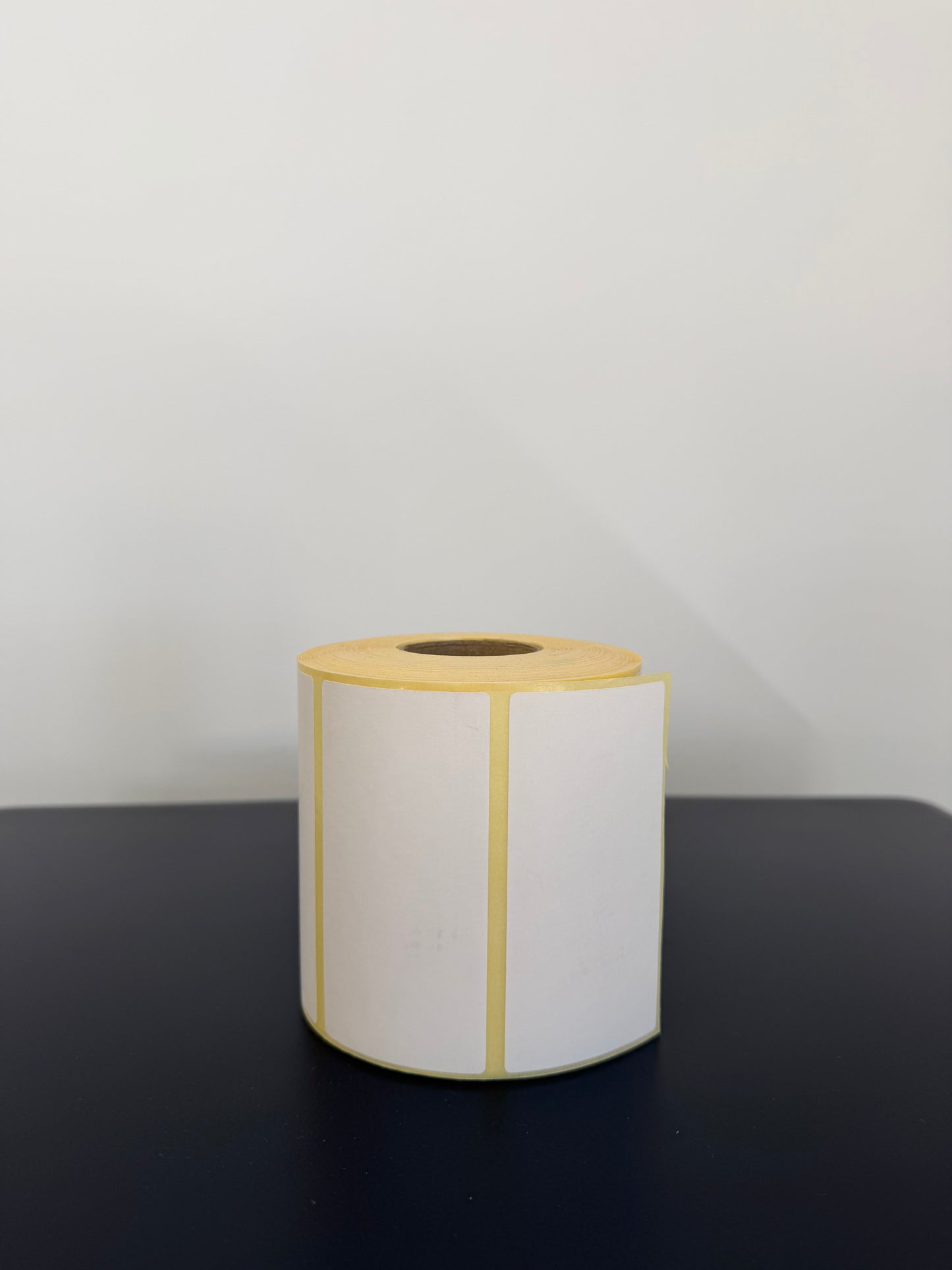 Termo EKO etiketa 100 × 50 mm – 1.000 komada, bela